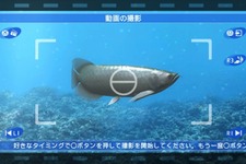 『ブルーオアシス～魚の癒し空間～』、自慢の水槽動画で「torne」が当たるキャンペーン実施 画像