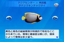 Wiiウェア『ブルーオアシス〜魚の癒し空間〜』明日より配信 画像