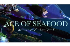 PS4版『ACE OF SEAFOOD』が開発中！ 光線を放つ海産物たちの戦いがPS4へと拡大 画像