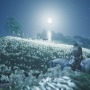 対馬で見た花の名前をあなたは知っていますか？『Ghost of Tsushima』の美しい花々を観察！