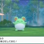 本郷奏多にマー君も!? 『ダイパリメイク』を発売日から始めた“ポケモン好き”有名人たち