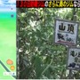 過酷な山奥に放置されたポケモンは、半年間ジム防衛できるのか？片道2時間登山して、検証してみた【ポケモンGO 秋田局】