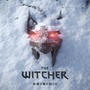 3分の2近くの人員を投入し『ウィッチャー』新作開発が本格化か？CD PROJEKT REDの2024年度人員配置が明らかに