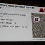 【GDC 2013】ウイルスを作り人類を滅ぼせ、『Plague Inc.』の開発を振り返る