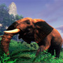 猛獣たちとの真剣勝負！海外版リアル狩りゲー『Cabela’s African Adventure』、Wiiでも発売決定