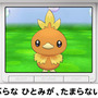 登場するポケモンは毎日日替わり