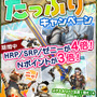 『MHFG』穿龍棍・フォロクルル・花畑の続報 ― さらに、極限征伐戦の新展開も