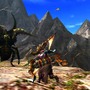 「応急耳栓」から「超高出力属性解放斬り」まで！「MH4G狩ーリバル」最新ROMプレイレポート