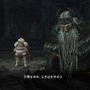 『Dark Souls II』追加DLC第2弾の内容紹介とスクリーンショットが多数公開