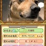 ゲームにあなたの愛犬が登場！？〜『スヌーピーの愛犬DS』、ペットの写真を募集