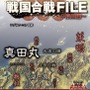 3Dマップでよくわかる戦国合戦FILE ～真田編～