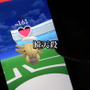 驚きの性能！特性「ふしぎなまもり」ヌケニン徹底検証【ポケモンGO 秋田局】