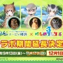 『けものフレンズ3』新フレンズ「タイリクオオカミ」が登場！10月21日公式生放送まとめ