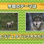 『けものフレンズ3』新フレンズ「タイリクオオカミ」が登場！10月21日公式生放送まとめ