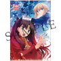 劇場版「「Fate/stay night [Heaven's Feel]」III.spring song」第2弾キービジュアル公開！三部作で紡ぐ原点の『Fate』、ここに完結──