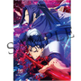 劇場版「「Fate/stay night [Heaven's Feel]」III.spring song」第2弾キービジュアル公開！三部作で紡ぐ原点の『Fate』、ここに完結──