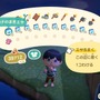 『あつまれ どうぶつの森』3月までの限定レア魚「イトウ」にチャレンジ！“まきエサ”100個で幻の魚は釣れるか!?　