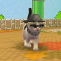 nintendogs + cats