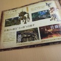 Wii『パンドラの塔』パンフレット配布中、公式サイトでは壁紙プレゼント
