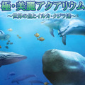 『極・美麗アクアリウム～世界の魚とイルカ・クジラ達～』サイトスクリーンショット