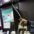 【TGS2015】“本物の弓”にプロジェクターがくっ付いているARシューティング『Shadow Shooter』がユニーク