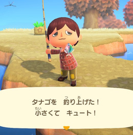 日本が世界に誇る美魚！『あつまれ どうぶつの森』で釣れる「タナゴ」ってどんな魚？【平坂寛の『あつ森』博物誌】