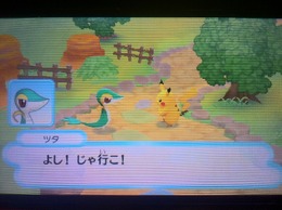 パートナーポケモンは複数種から選択可能