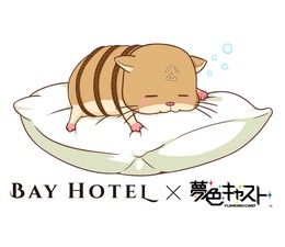 『夢キャス』×「秋葉原 BAY HOTEL」予約が1月6日より開始―女性専用カプセルホテルとコラボ