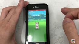 捕獲率爆上げなサークル固定投法を改めて解説！【ポケモンGO 秋田局】