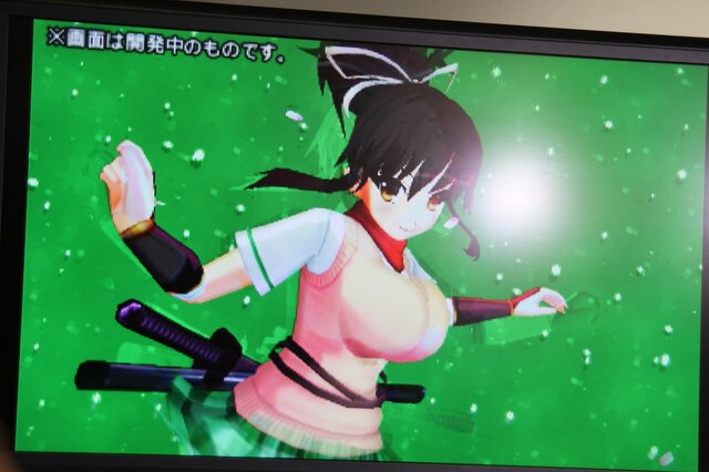 3DS『閃乱カグラ2 ―真紅―』発表！グラフィックリソースを一新し、その全てが立体視に対応 ― 協力プレイも