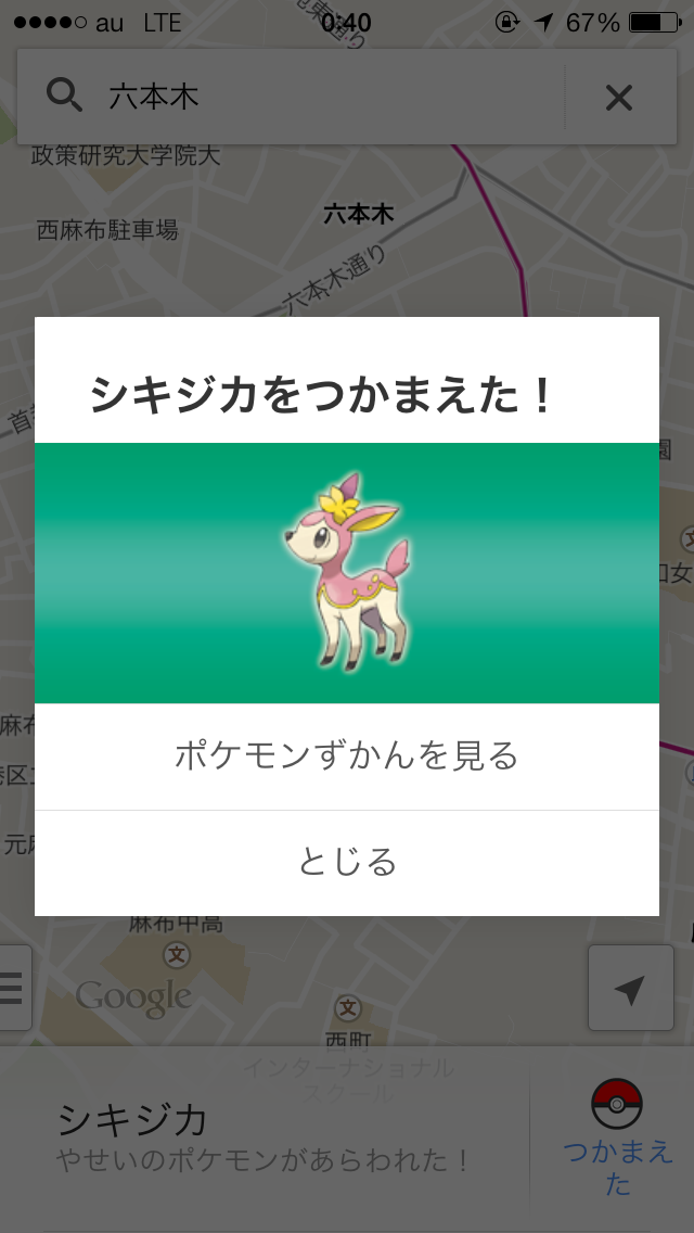 やせいのポケモンを発見!