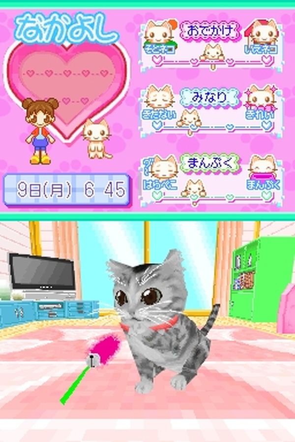 可愛らしい猫と一緒に生活 かわいい子猫ds 29枚目の写真 画像 インサイド