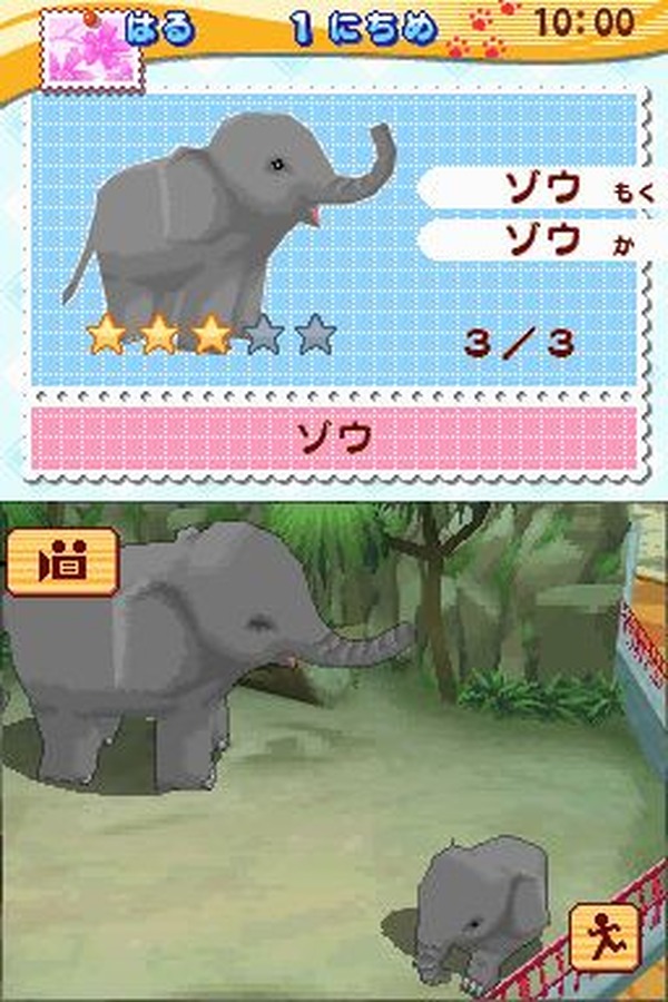 完全送料無料 DS みんなの動物園 shipsctc.org