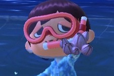 貝じゃない！味はカニ！『あつまれ どうぶつの森』の海の幸「フジツボ」って何者？【平坂寛の『あつ森』博物誌】 画像