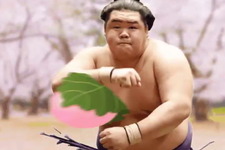 日本相撲協会の「桜餅キャッチゲーム」が話題に！リプライ欄が“桜餅を抱きしめる力士”で埋め尽くされる 画像