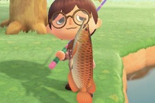 鑑賞魚の頂点！『あつまれ どうぶつの森』で釣れる「アロワナ」の正体とは【平坂寛の『あつ森』博物誌】 画像