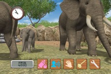 Wiiで動物たちと触れ合う癒し系ゲーム『Animal Life～動物ふれあい生活～』9月15日配信開始！ 画像