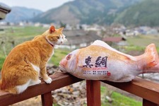 釣った魚がリアルなクッションに！魚拓のような「ぎょたクッション」が本物そっくりでヤバい 画像