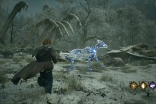 『ホグワーツ・レガシー』お金を稼ぐためならなんでもあり？金策のために魔法生物の乱獲に及ぶプレイヤーが続出 画像