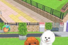 いま人気のビション・フリーゼも飼える！『かわいい子犬DS3』3月18日発売 画像