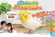 伝説の“天才インコちゃん”が、もっと賢くなって帰ってきた！2,300通り以上の日常会話や脳トレをひっさげ、6月15日（インコの日）に発売 画像