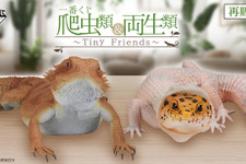 めっちゃリアルな「一番くじ 爬虫類＆両生類～Tiny Friends～」再販！アメフクラガエルの“お尻”がプリティ 画像