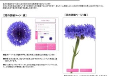 360度くるくる回せる花図鑑アプリ、ドコモのAndroidに限定公開 画像