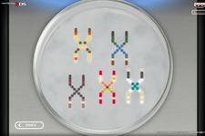 バンダイナムコ「謎のクロスオーバープロジェクト」ウェブサイト更新 ― シャーレの上に染色体？ 画像