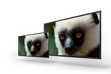 ソニー、56型＆30型の4K有機ELモニタを「NAB 2013」で技術展示 画像