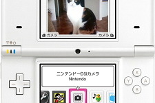 DSが今年のホリデーシーズン前に値下げされる？－海外の予測 画像