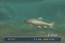 『Fish Eyes』全作品を紹介 ― ポータルサイトがオープン、最新作『フィッシュアイズWii』PVも公開 画像