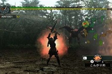 Wii版『モンスターハンターG』狩りの必需品「武器」と訓練所について情報公開 画像