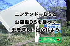 『クイズ&タッチけんさく虫図鑑DS』ムービー公開 画像