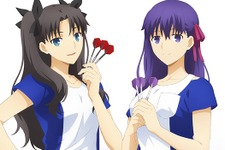 劇場版「Fate/stay night [Heaven's Feel]」コラボダーツセットが31日予約開始へ！ダーツマシンがFateに染まる 画像